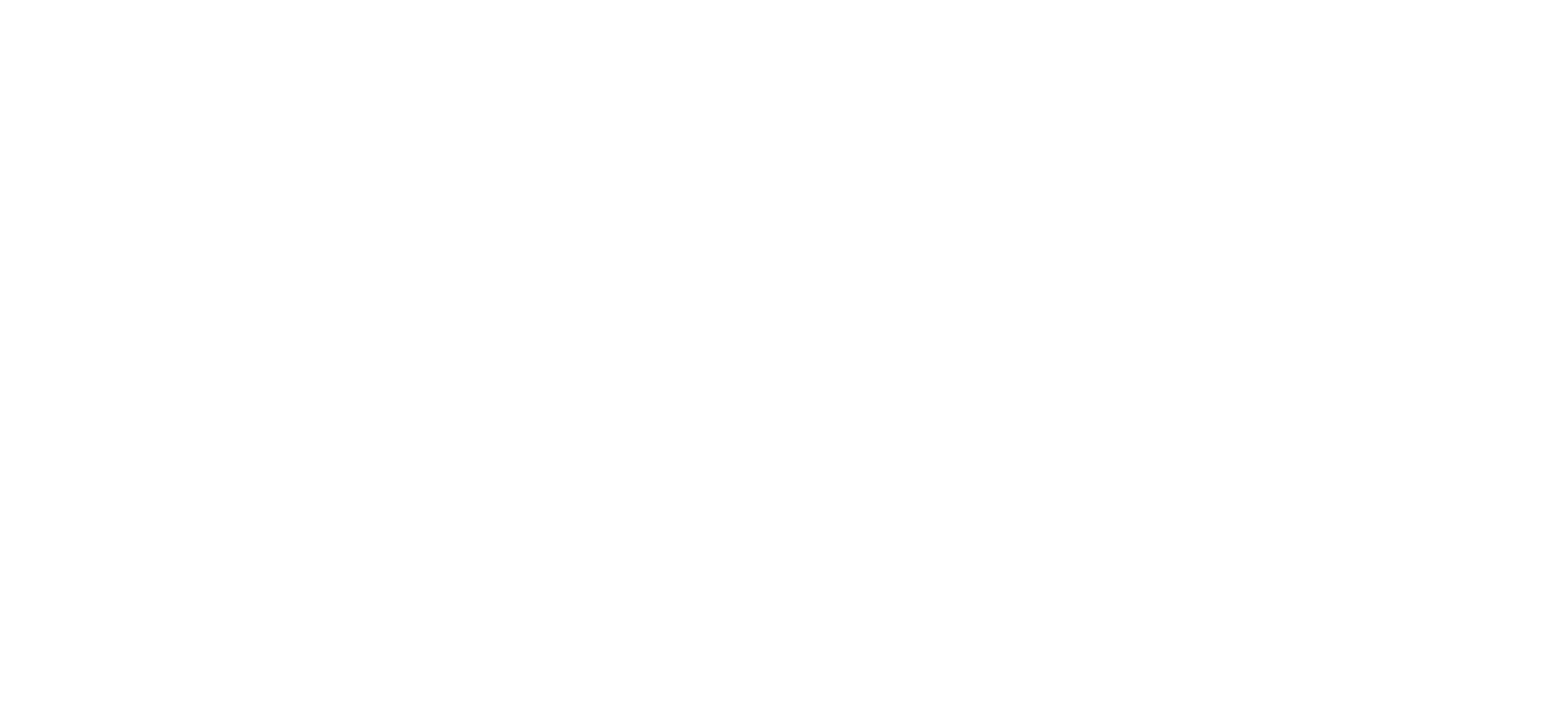 Saller Logo